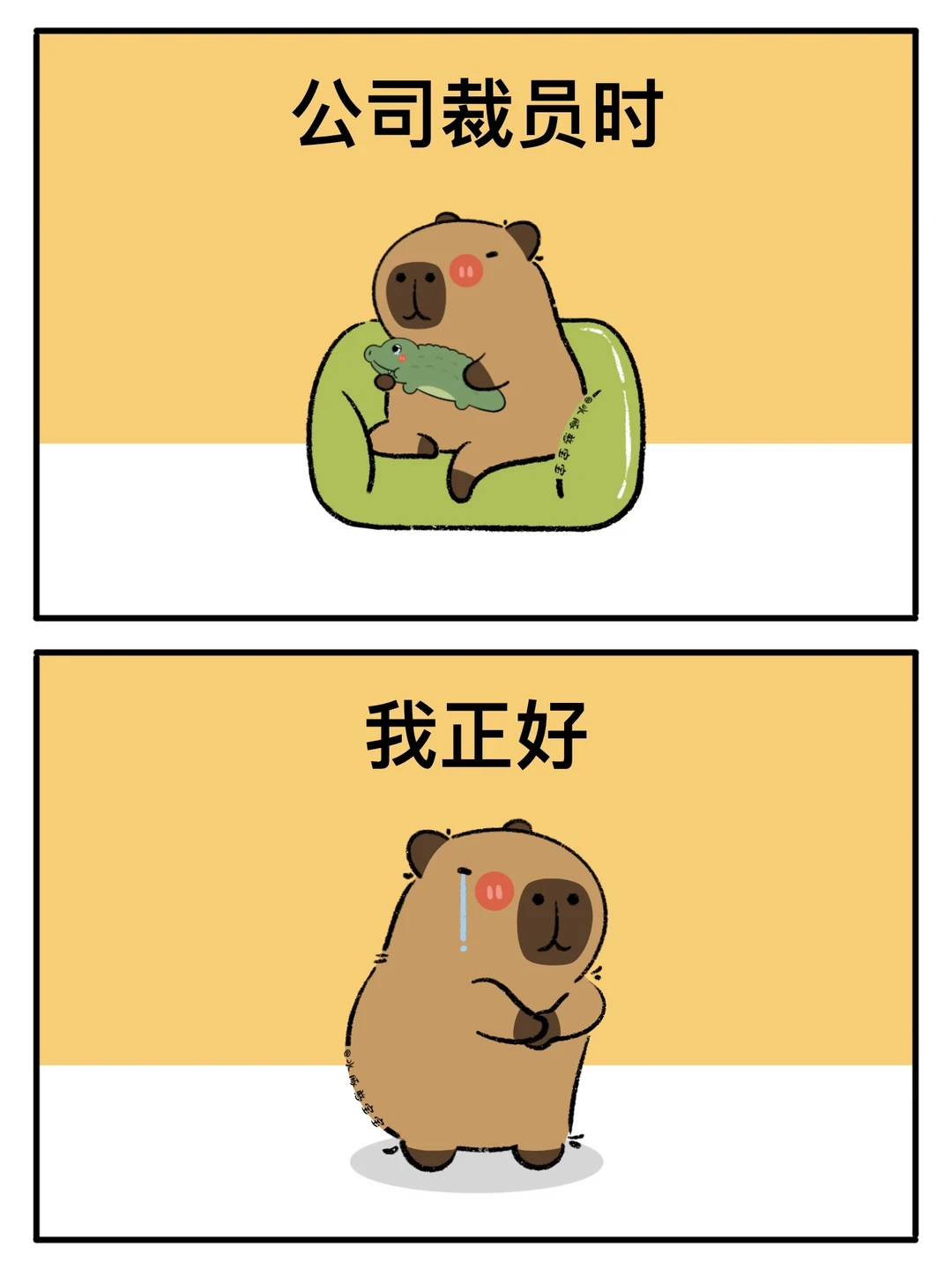 卡皮巴拉：8090是一点时代红利也没占着😨