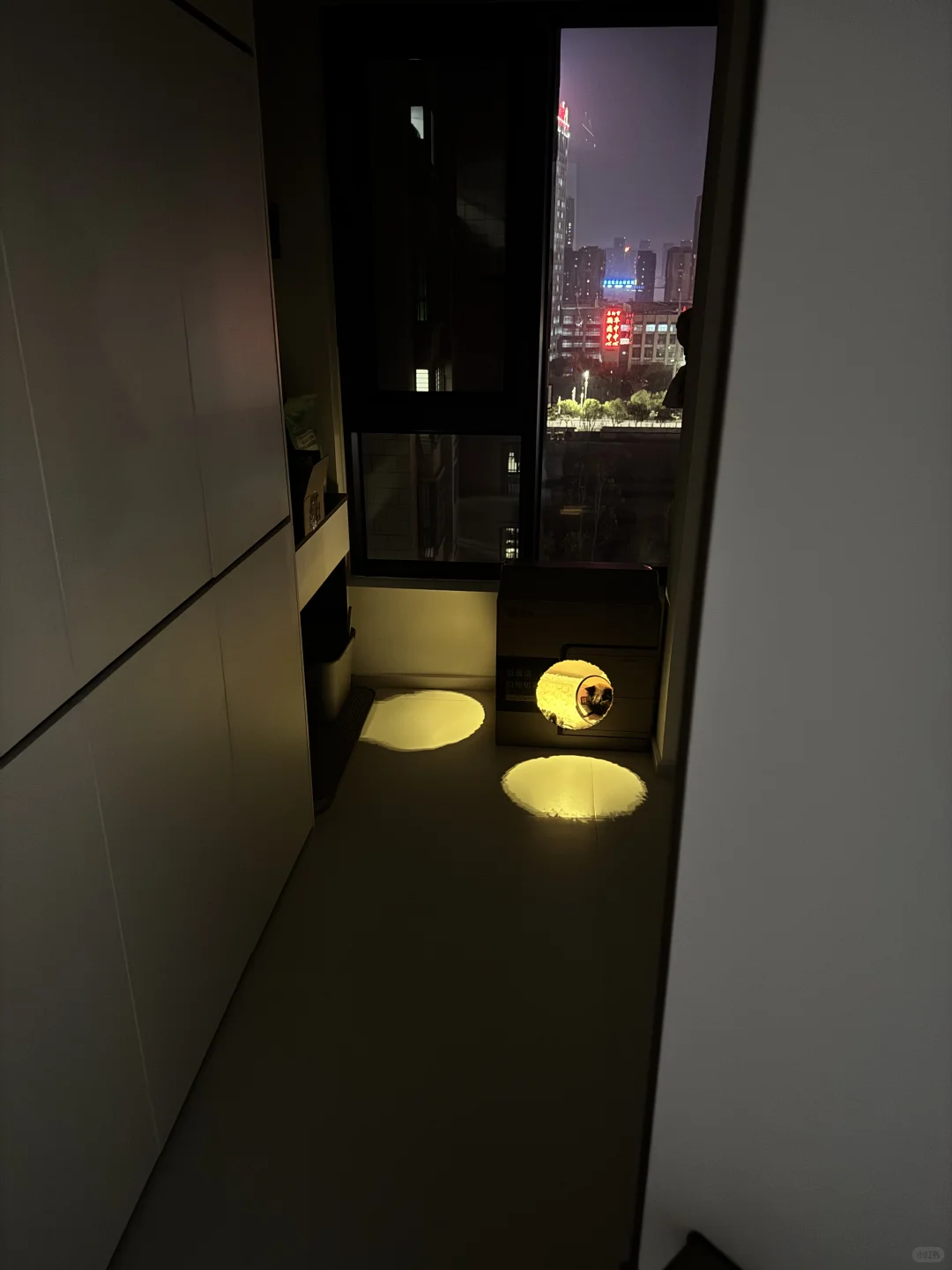 人，泥嚎，我是没穿裤子的咪🐈