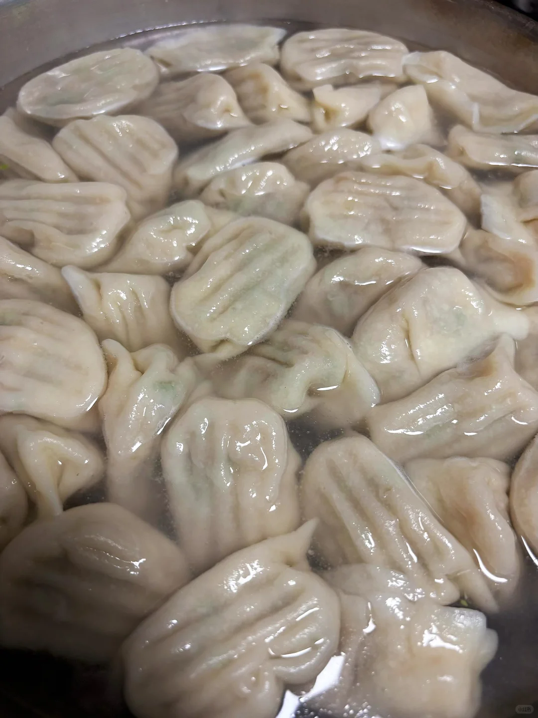 猪肉茼蒿虾仁水饺爱吃的请举手！！