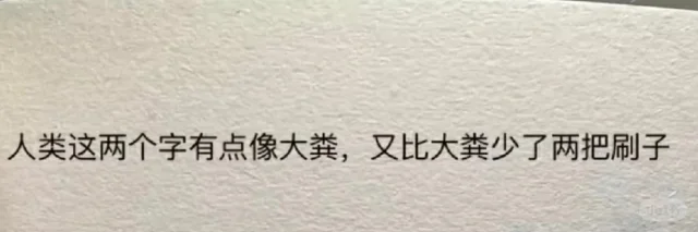 神金,笑死我了哈哈哈