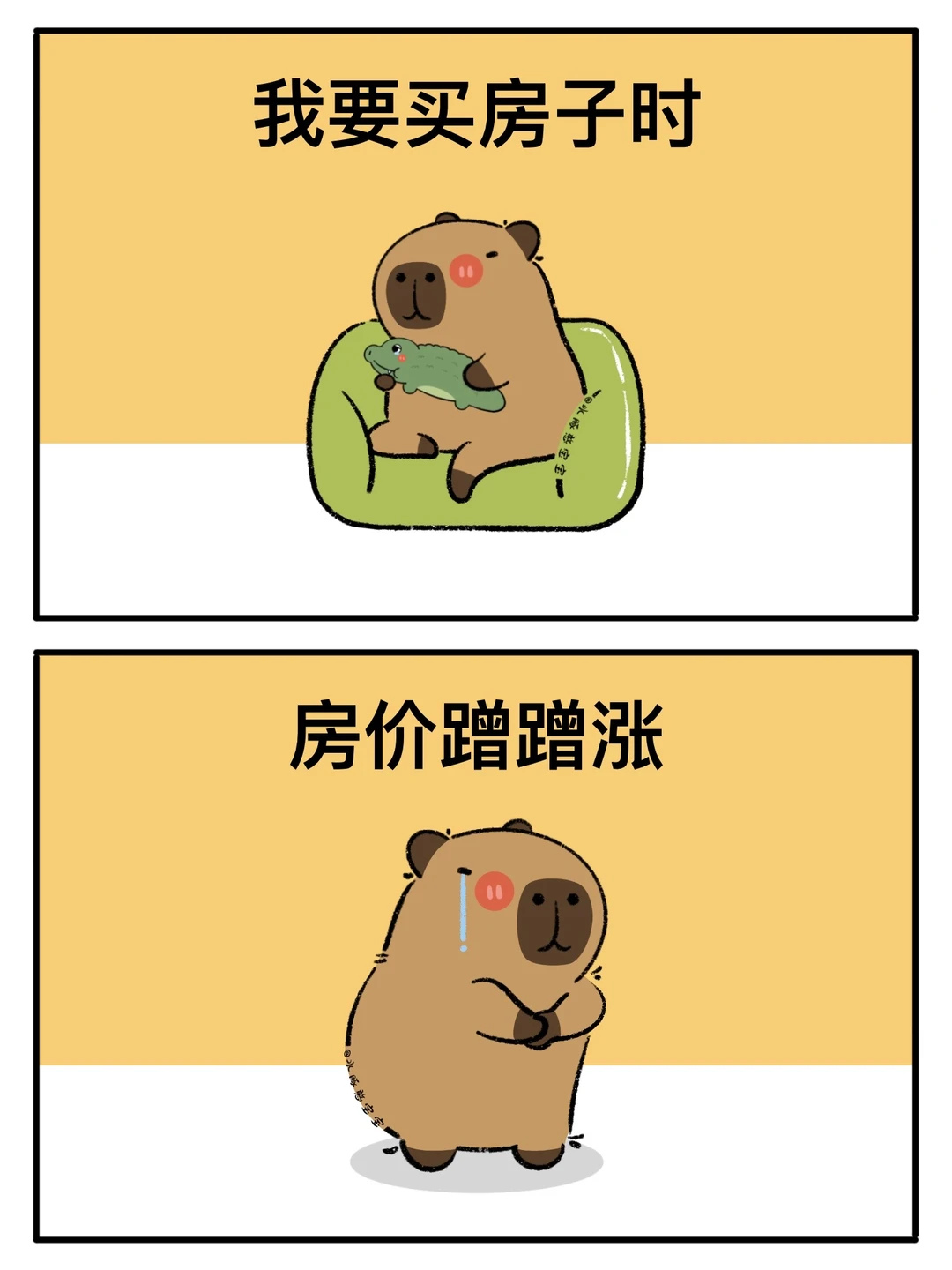 卡皮巴拉：8090是一点时代红利也没占着😨