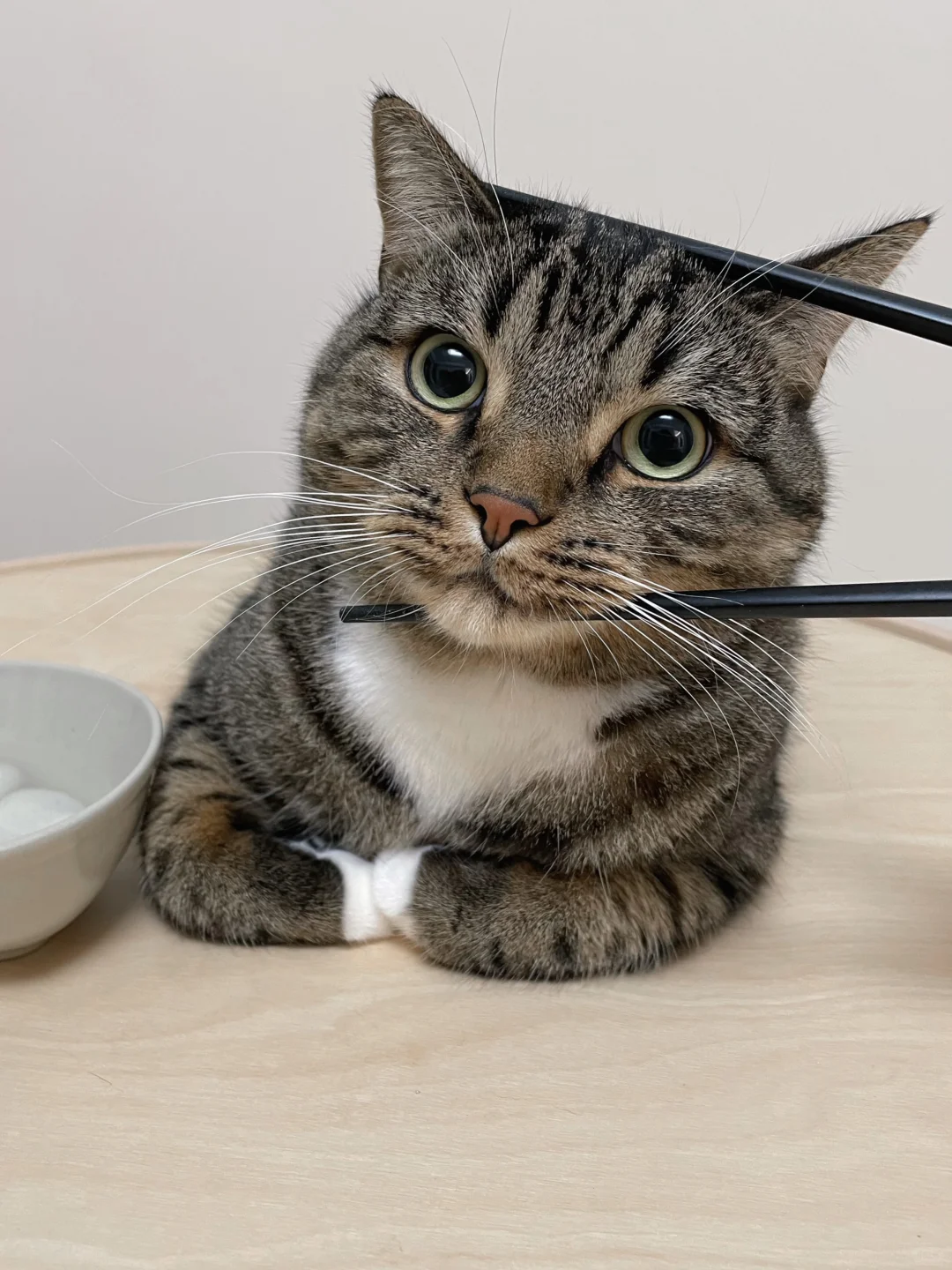 冬至只能吃这种过期长毛的汤圆，想哭...