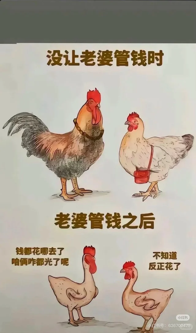 哈哈生活需要幽默感