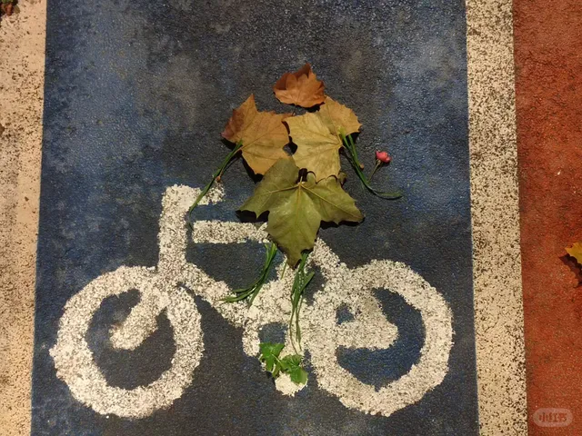 給图案穿上衣服！捡一个秋。