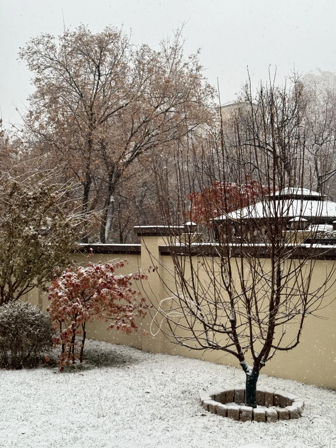 这是以前不敢想，现在属于我的格子窗小别墅～