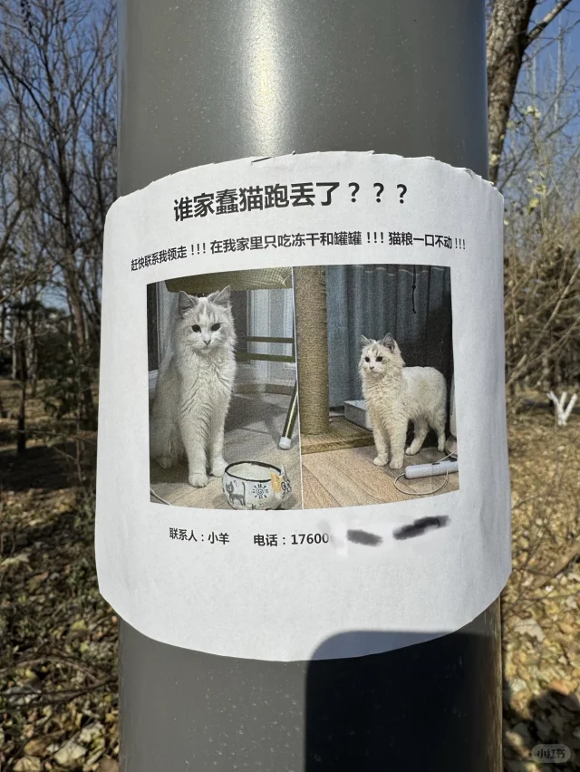 这是谁家祖宗被好心人捡了