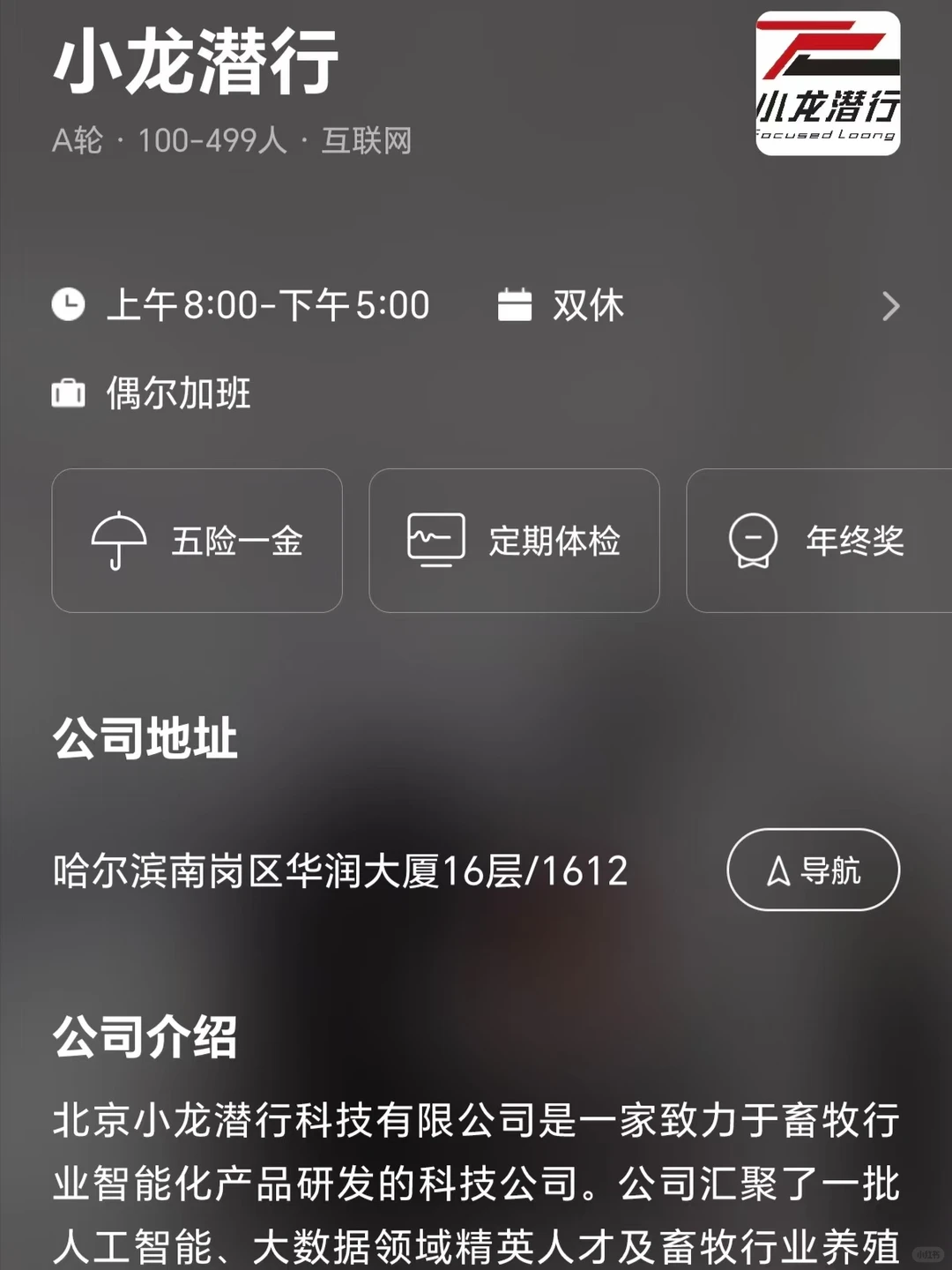 双非捡漏哈尔滨小而美公司