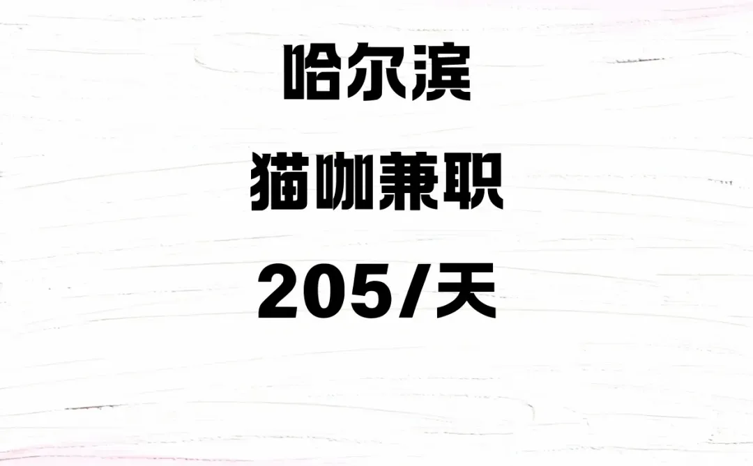 哈尔滨猫咖兼职205/天