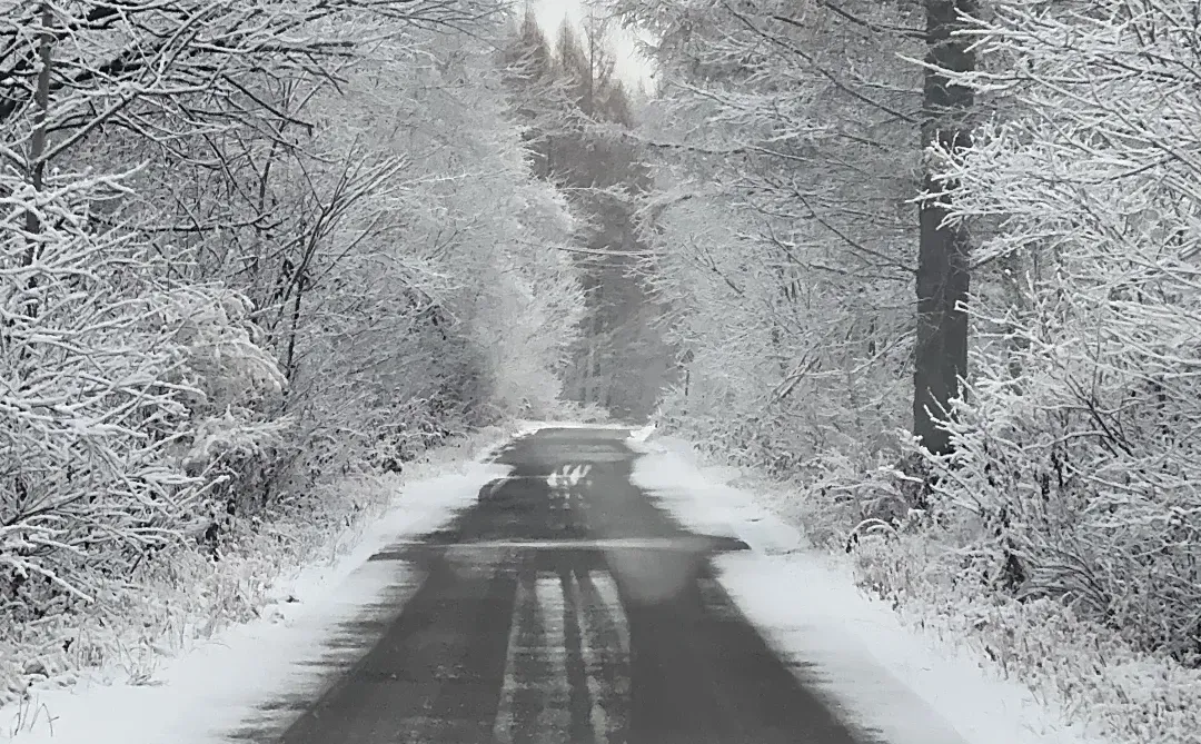 亚布力酒店义工招聘