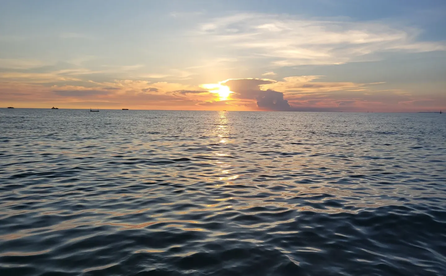 招聘 广安前锋区代市镇