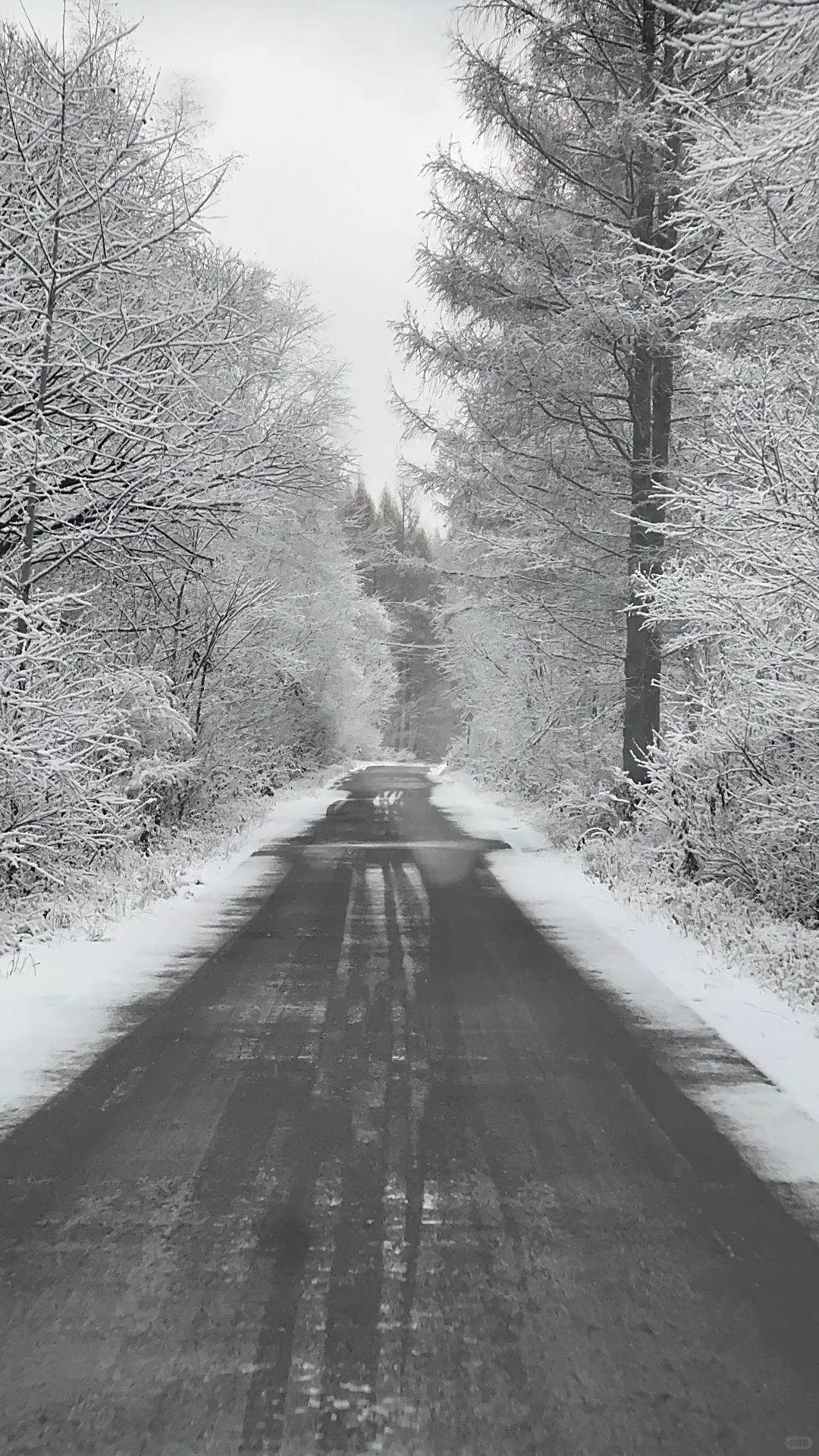 亚布力酒店义工招聘