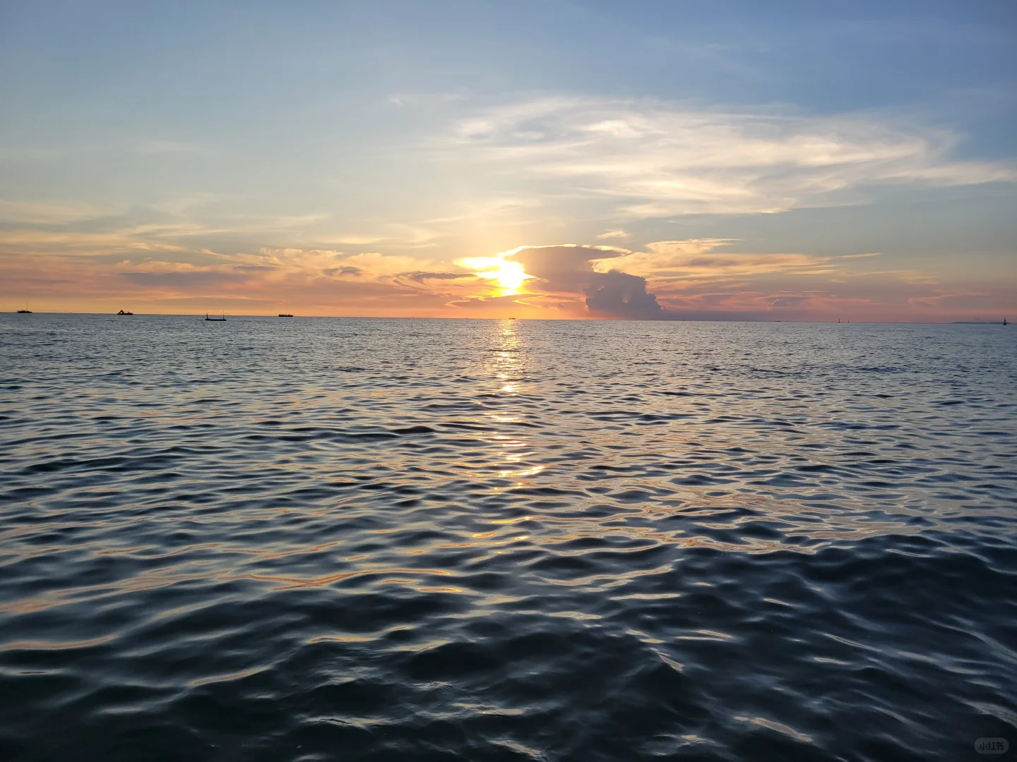 招聘 广安前锋区代市镇