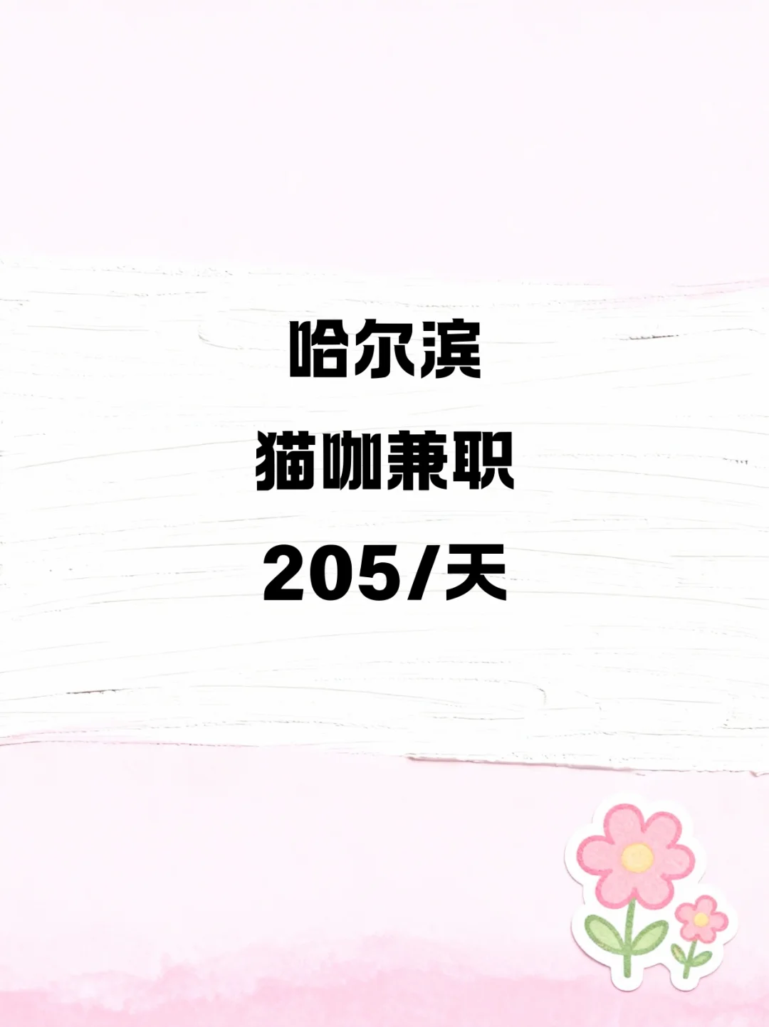 哈尔滨猫咖兼职205/天