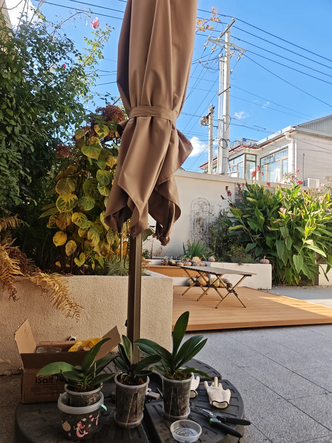 有人说住在农村不好但真住过的才知道有多爽