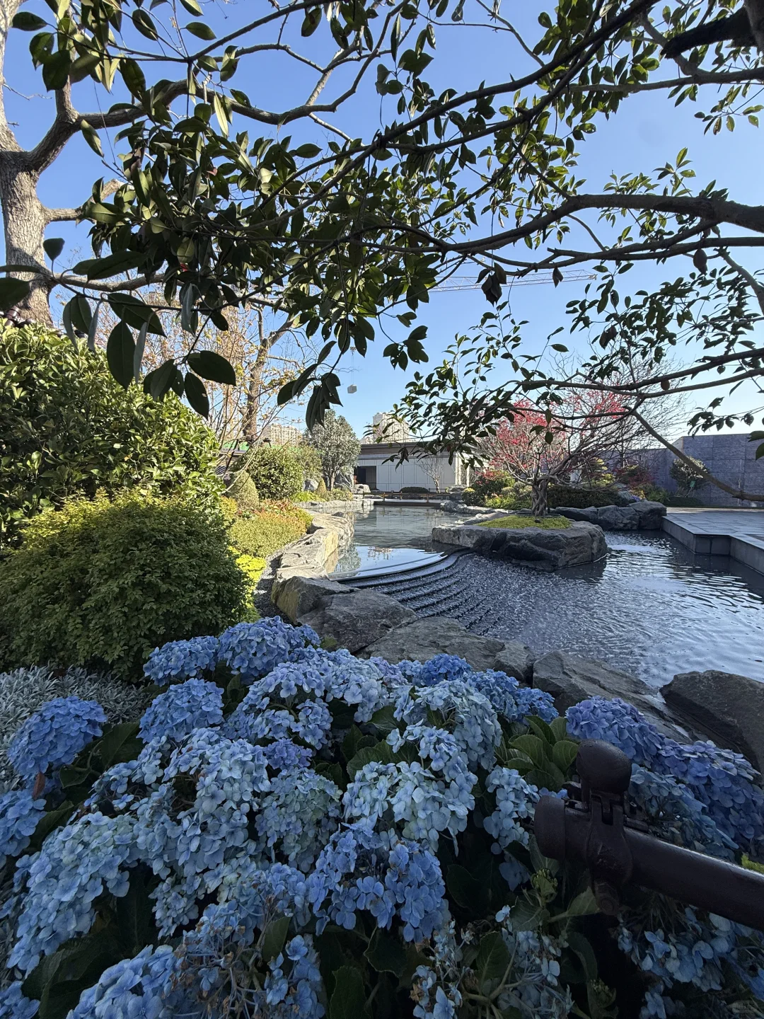 邯郸今天天气好：看看天伦湾璞悦东方