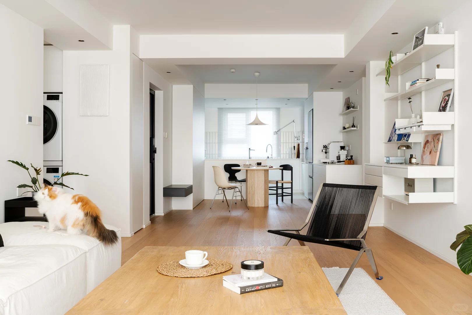 🏠 这家的简约高级感我爱了～～～