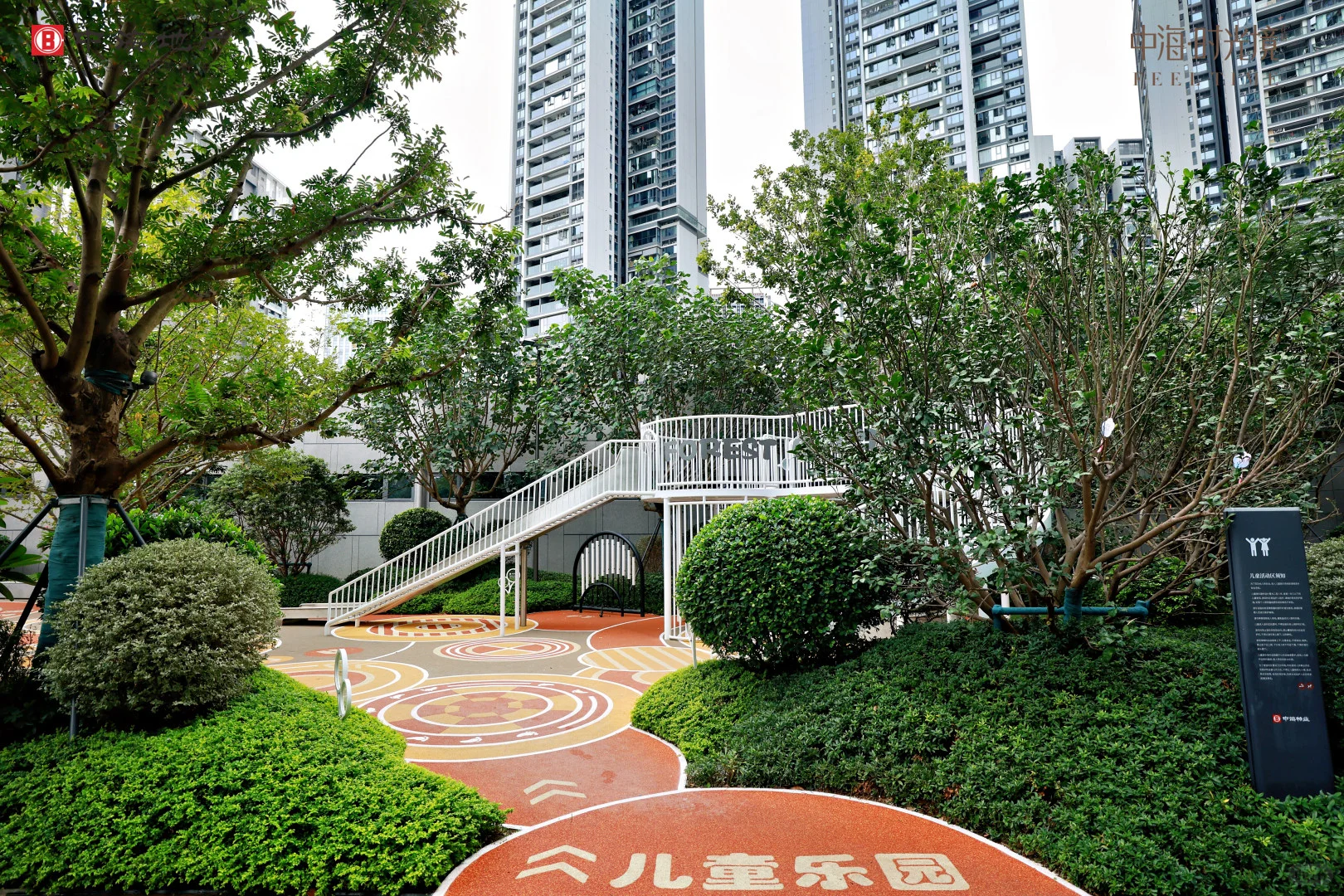 我宣布！深漂结束 正式成为深圳人