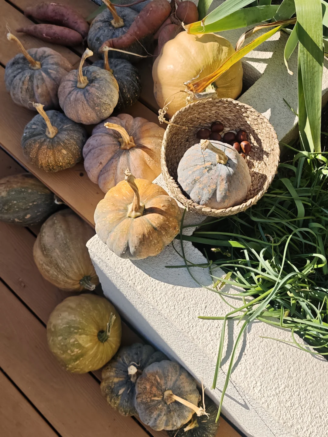 有人说住在农村不好但真住过的才知道有多爽