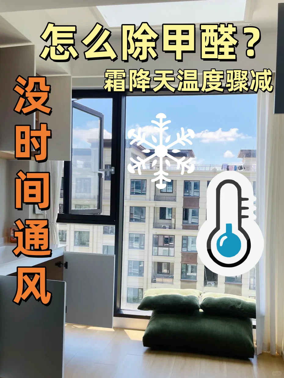 没时间通风😭新房除甲醛救急