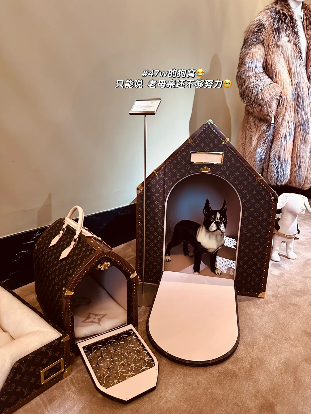 连过三天生日🤣+新家装修进度plog🏡💗