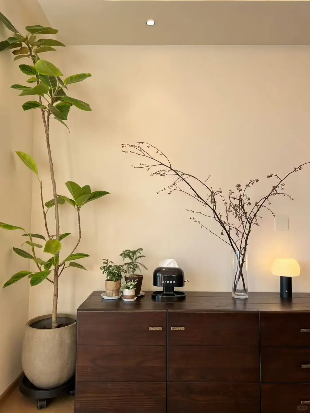 大校场拓荒盘 23年次新房 小区代言房