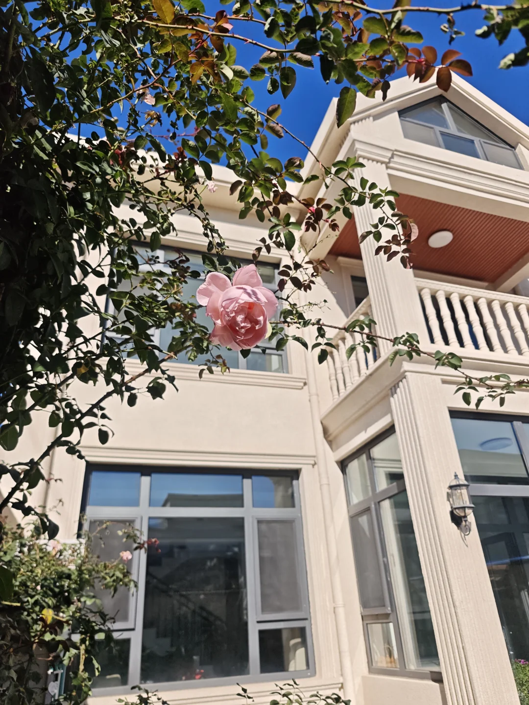 有人说住在农村不好但真住过的才知道有多爽