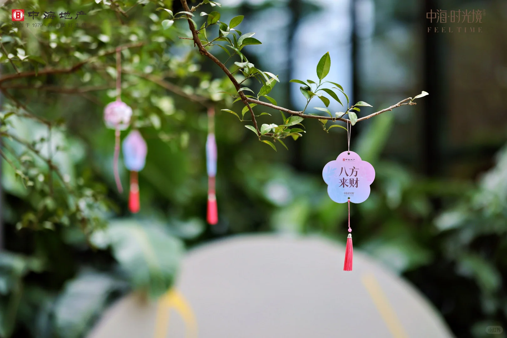 我宣布！深漂结束 正式成为深圳人