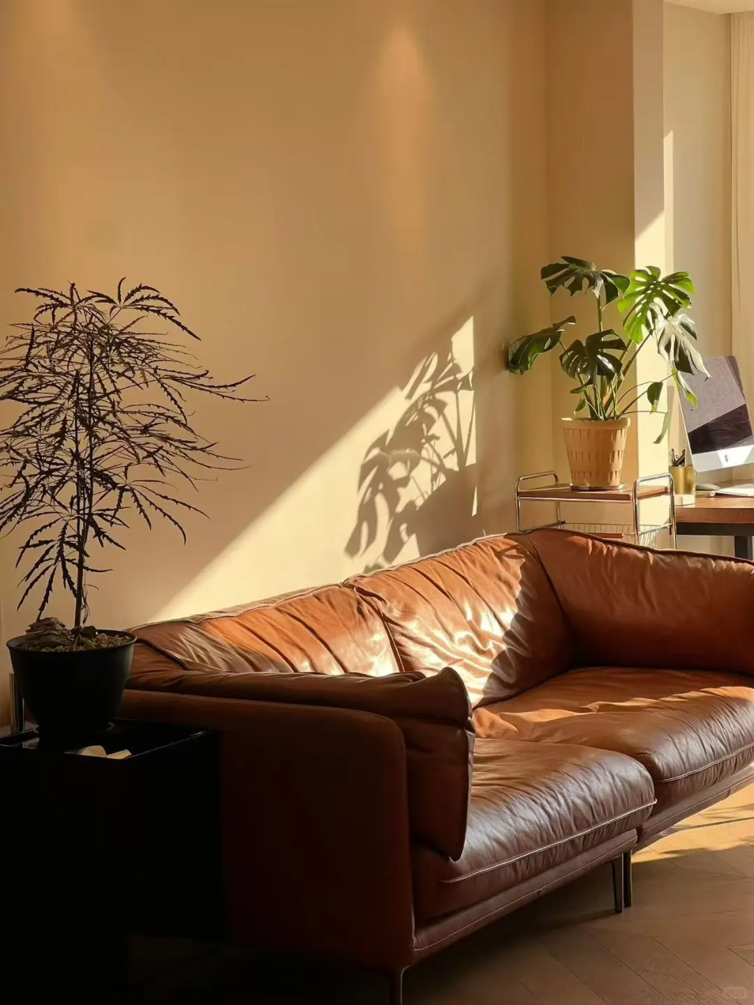 大校场拓荒盘 23年次新房 小区代言房