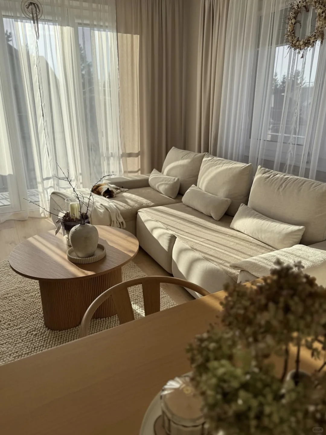 荷兰装修记 | 海运家具进场，终于出图啦