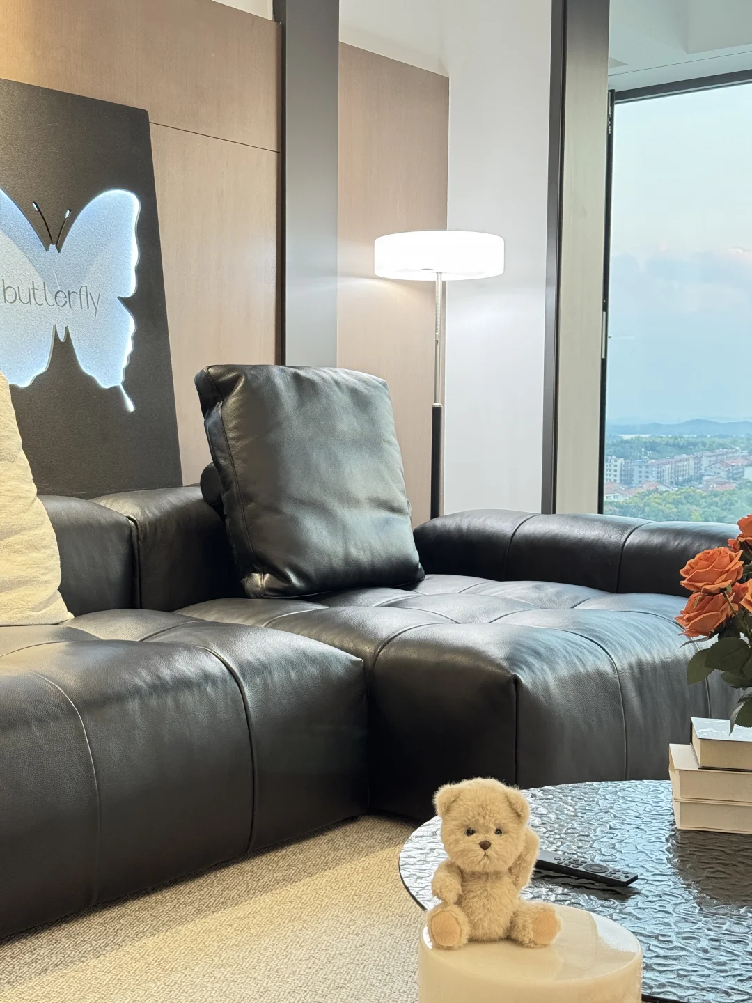 我其实不欢迎任何亲戚来我家