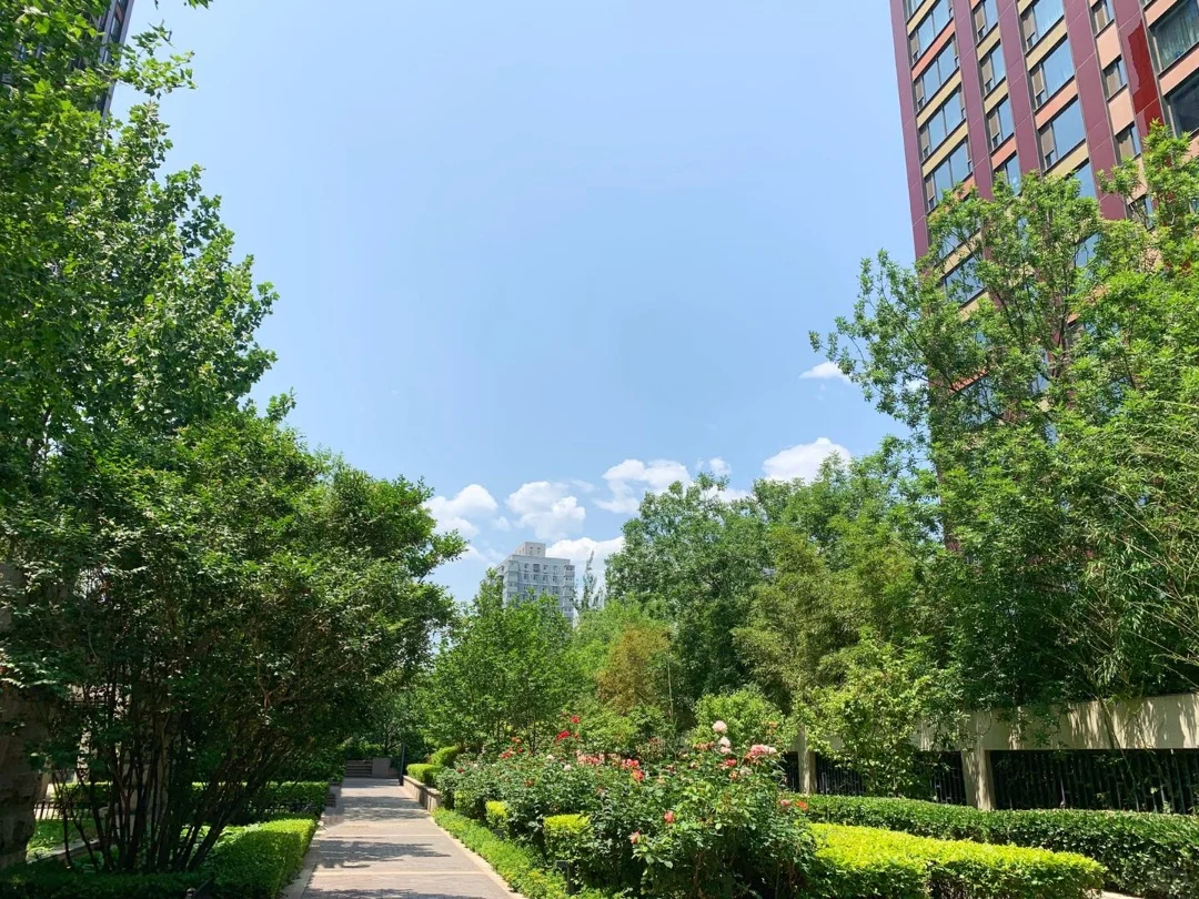 东北三环/次新房