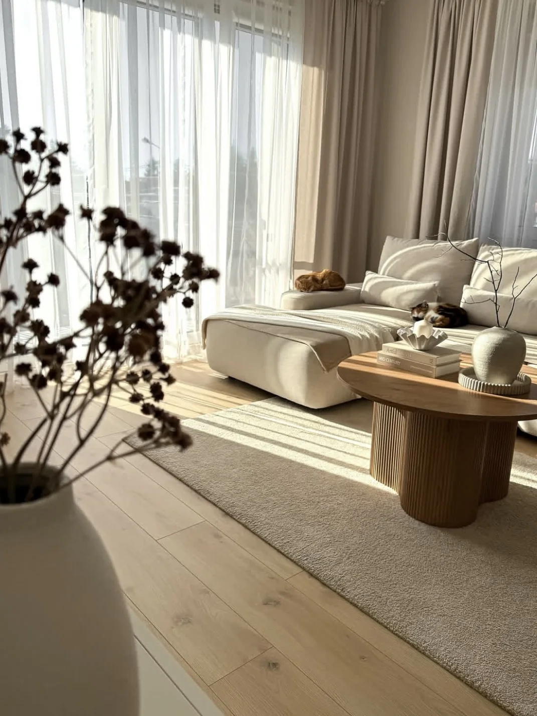 荷兰装修记 | 海运家具进场，终于出图啦