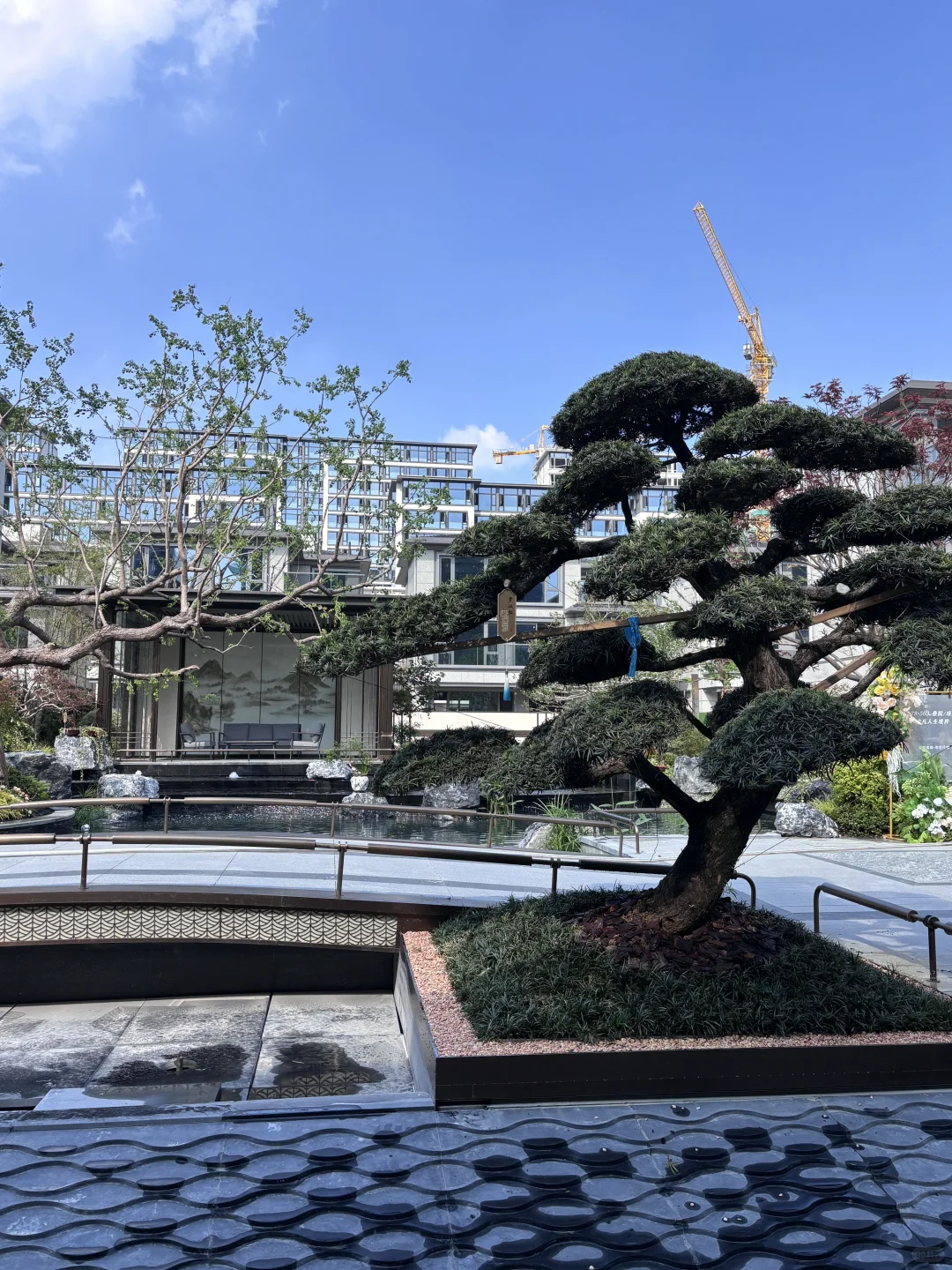 现在的小区太卷了