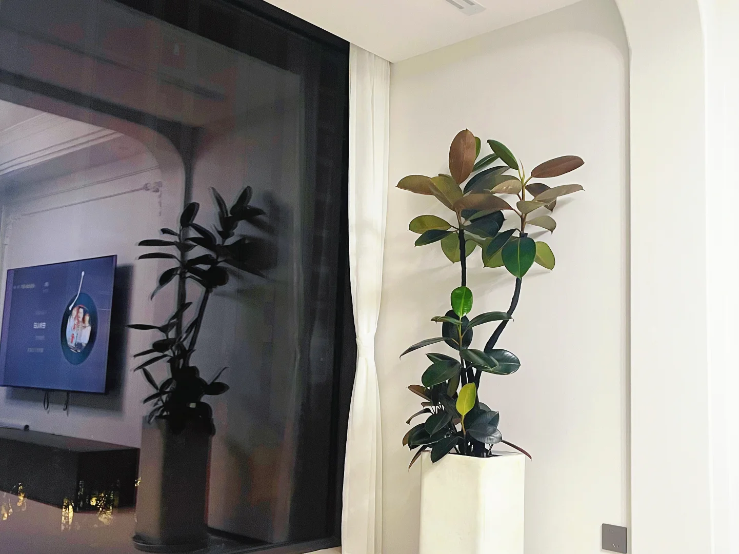 好喜欢我的家🏠～～～