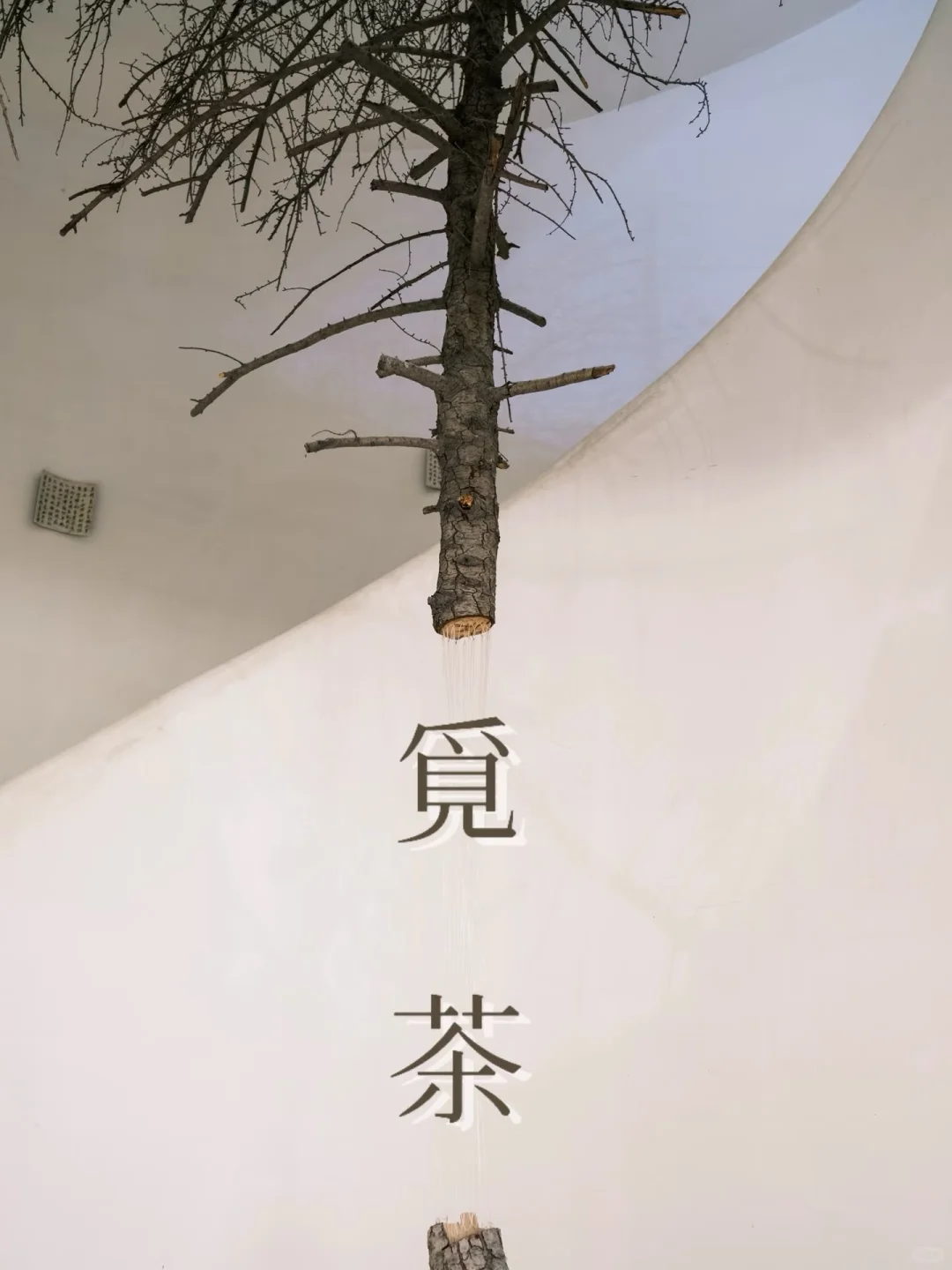 藏在城市里的宝藏茶馆