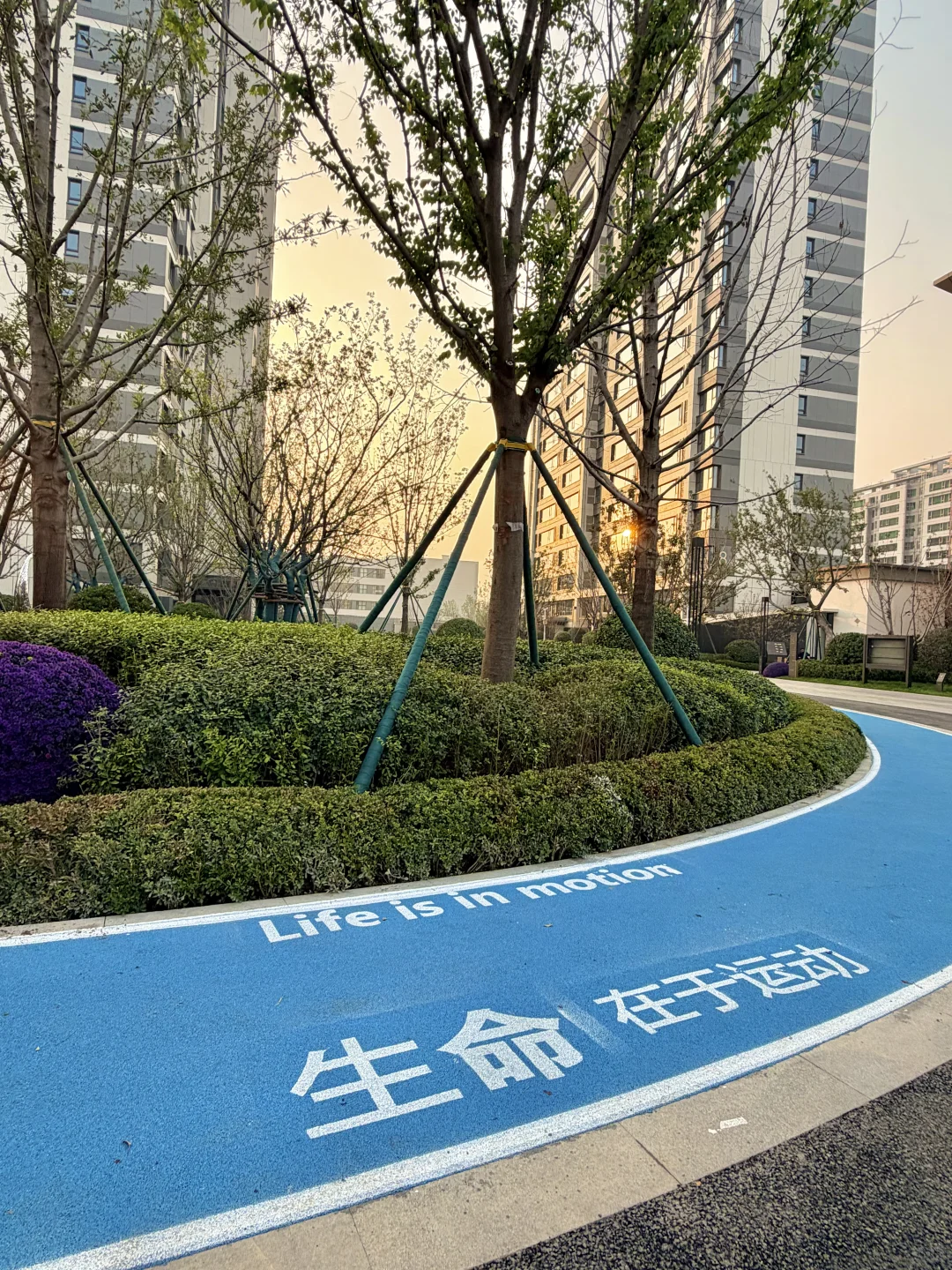 石家庄！住在这里的幸福感也太高了吧……