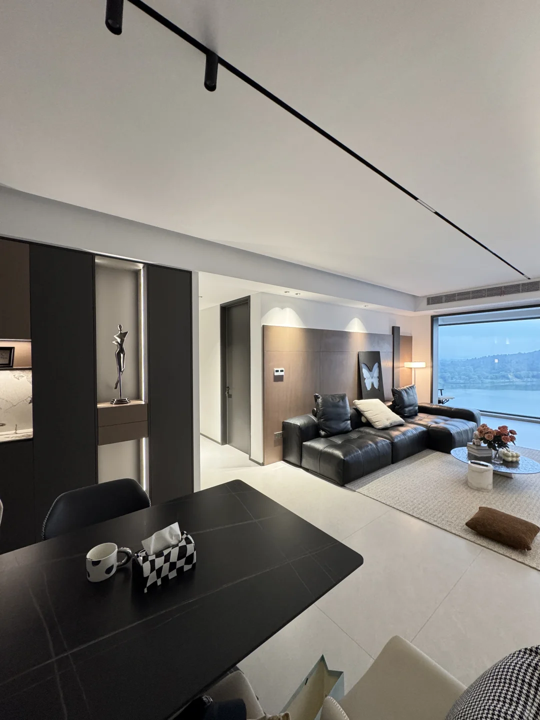 我其实不欢迎任何亲戚来我家