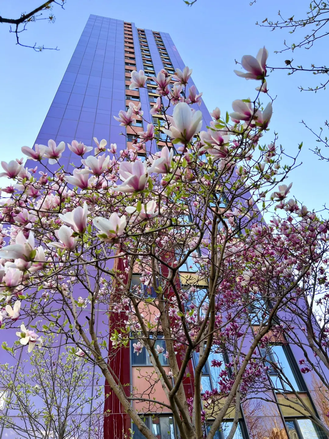 东北三环/次新房