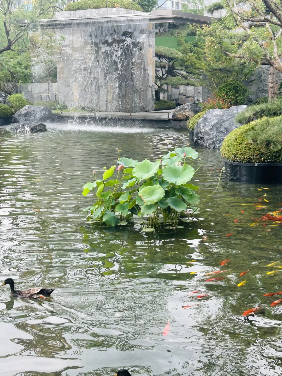 昌平买房封神！1.3低密唐风洋房太戳改善党