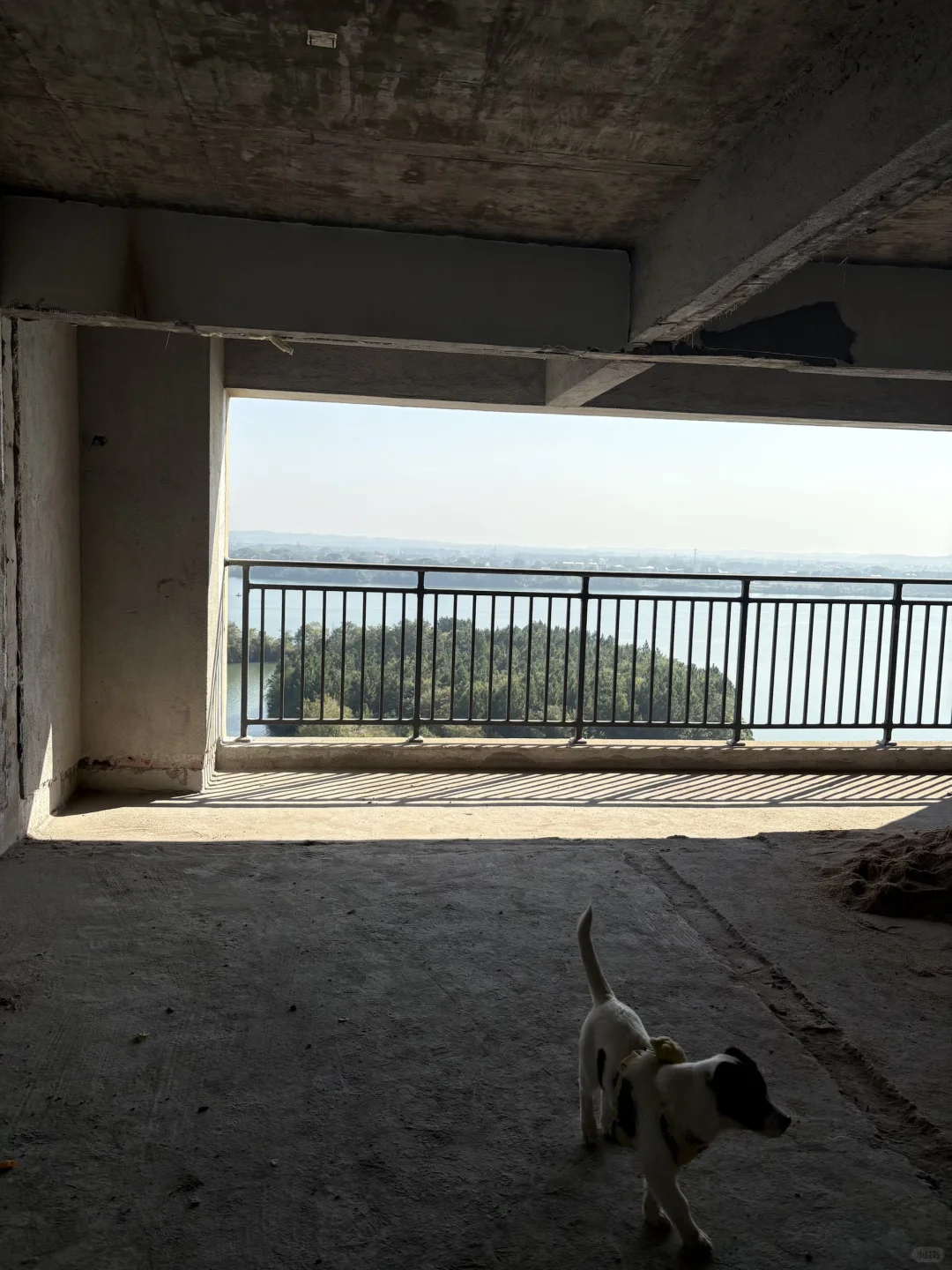 新人装修博主起号啦🏠