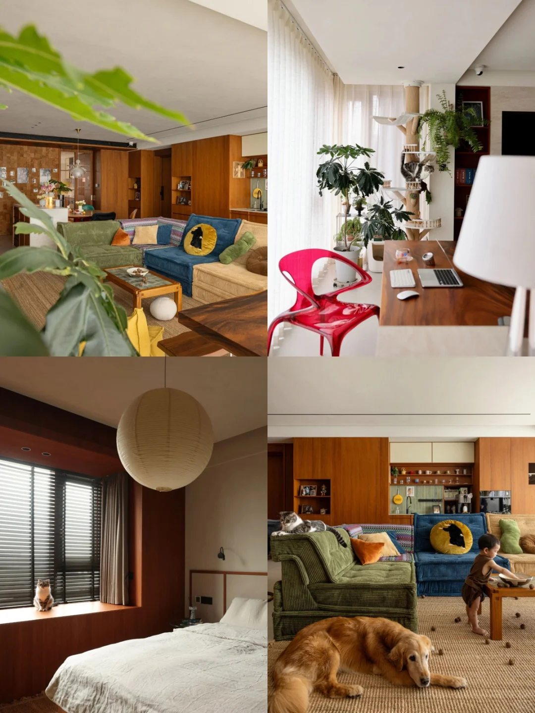 浙江准备装新房/翻新旧家的宝子看过来❗️