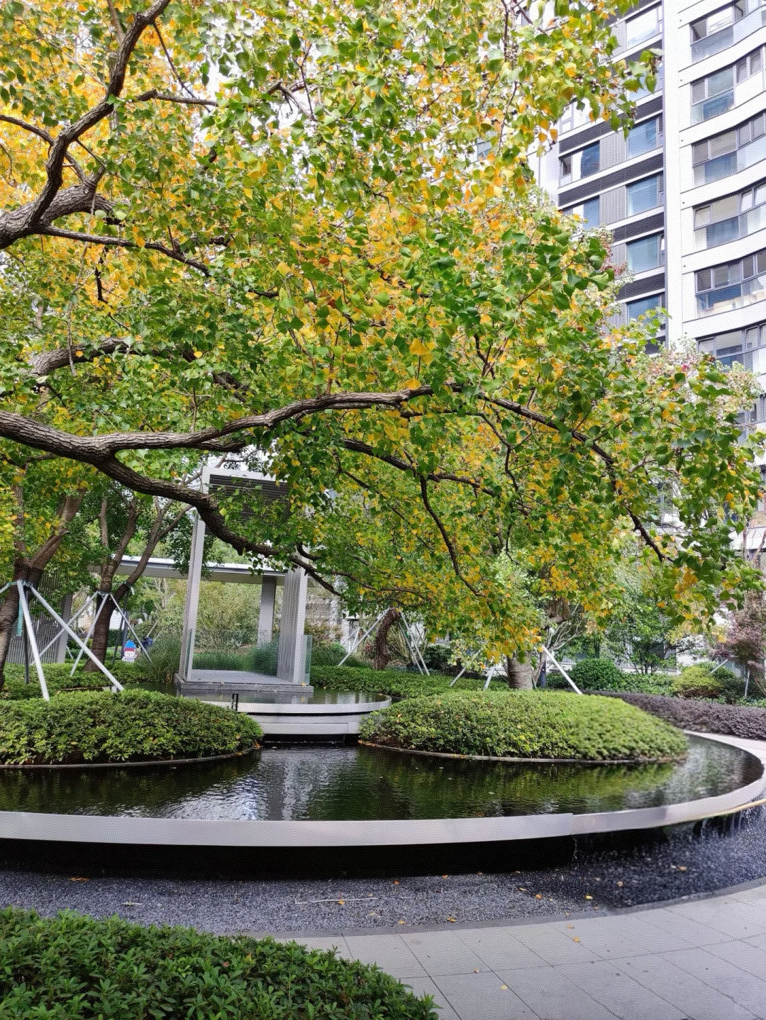 感谢南京🙏江核青奥新房现房 5 折清盘！