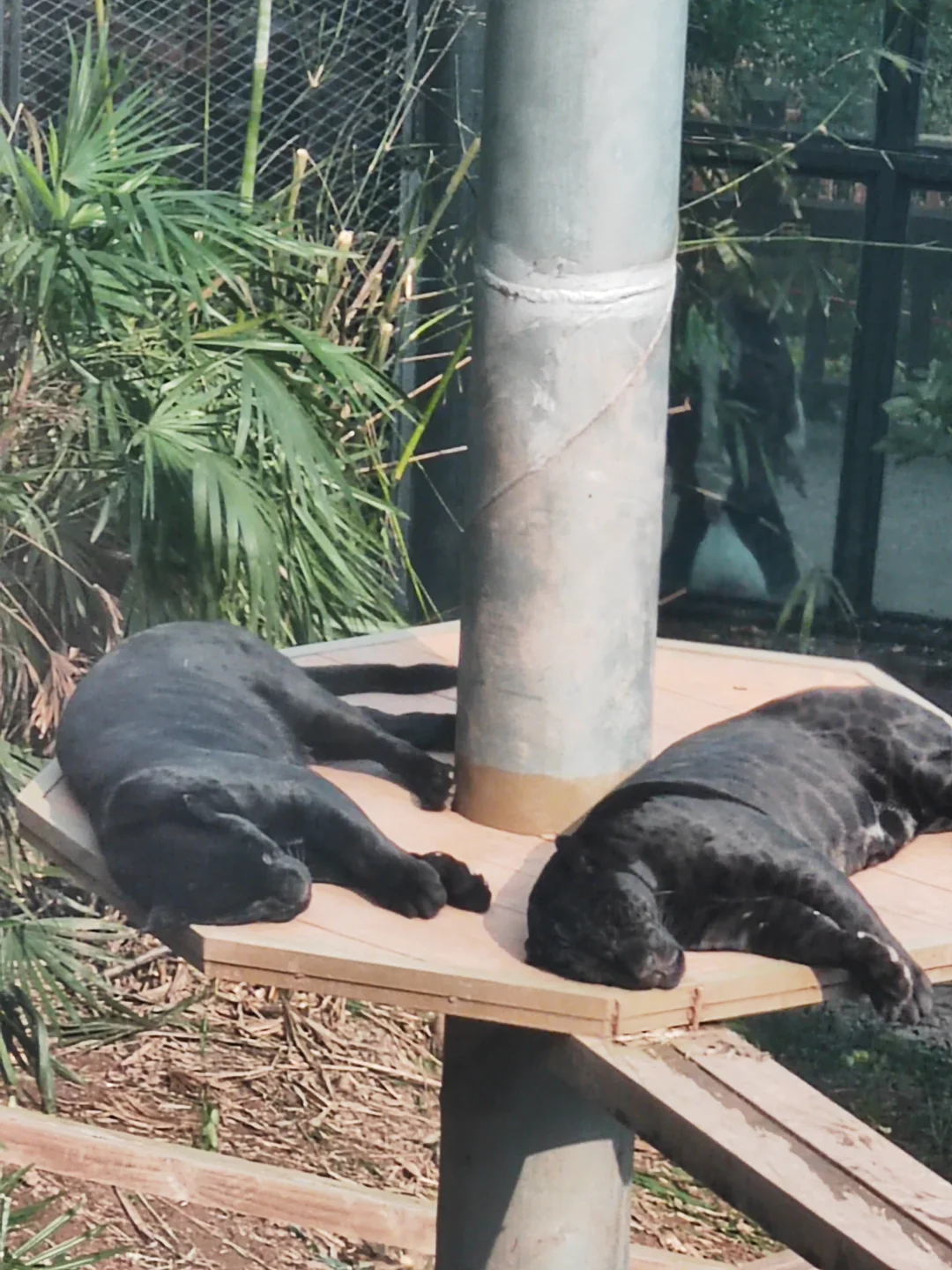 来个小中介公司的二手房中介