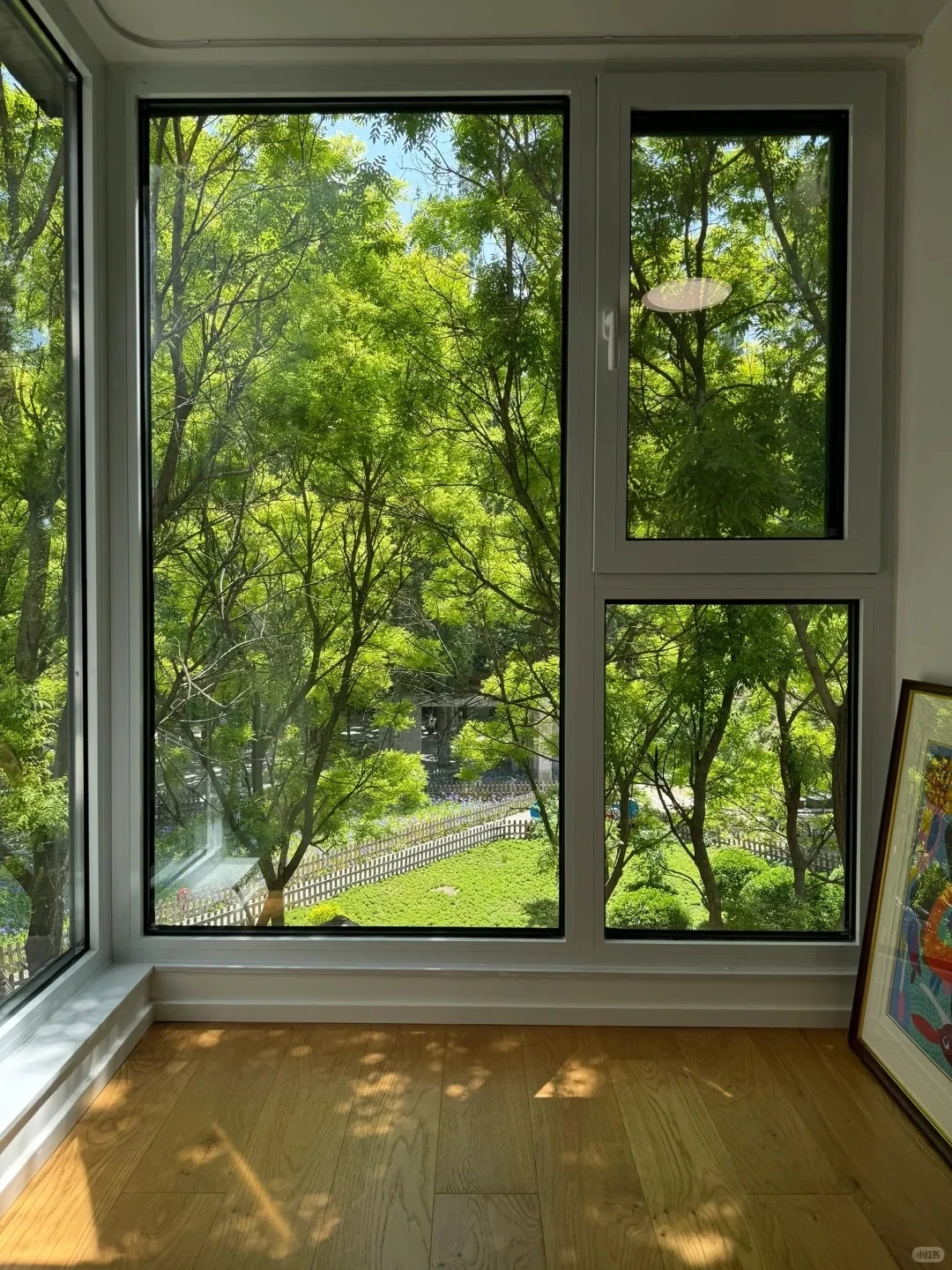 感谢天津!26岁买到Dream house~南开🎒呀