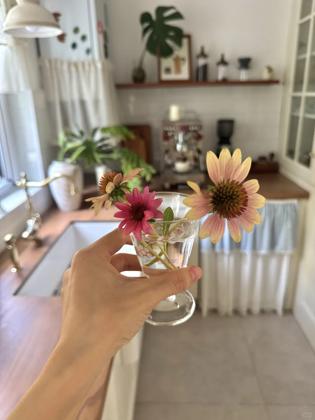 其实我已经拥有普通人里最好的厨房了