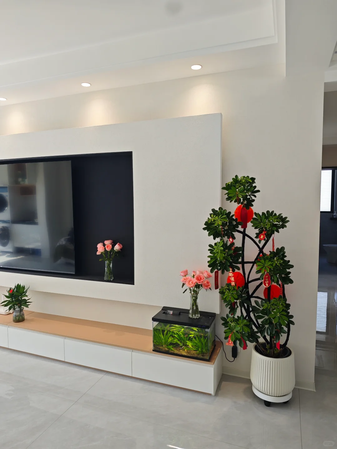 网购了一颗鸭脚木，绿植果然是最好的软装