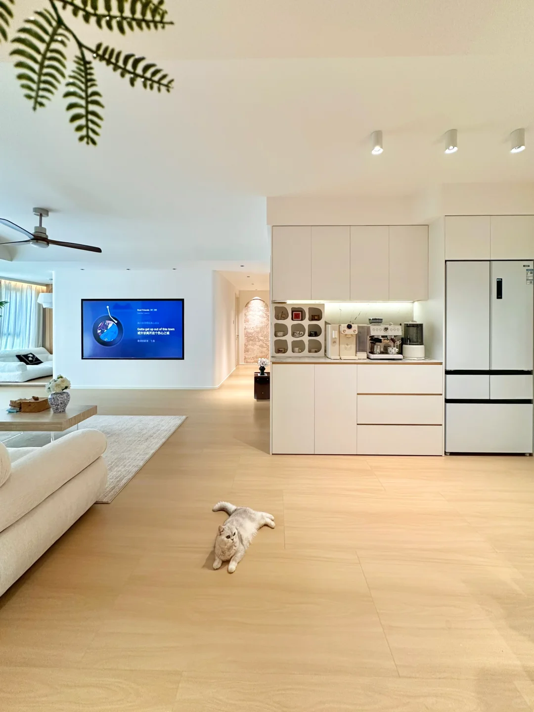 听我一句劝，木纹砖通铺真的好显大