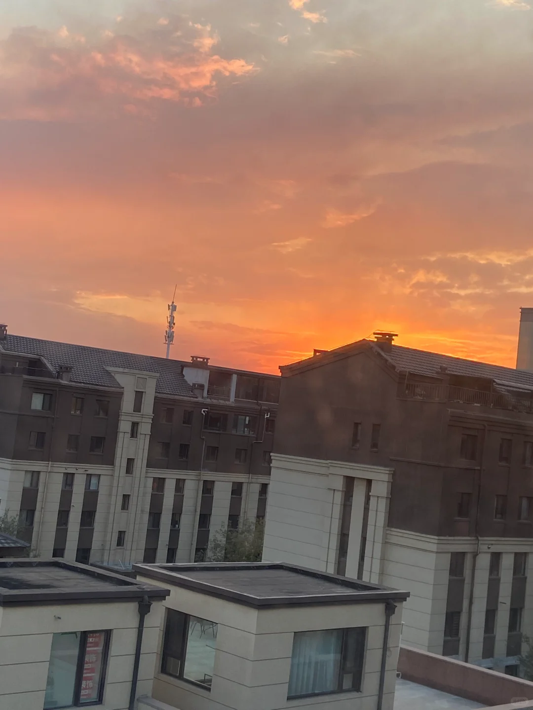 买新房还是买老房子