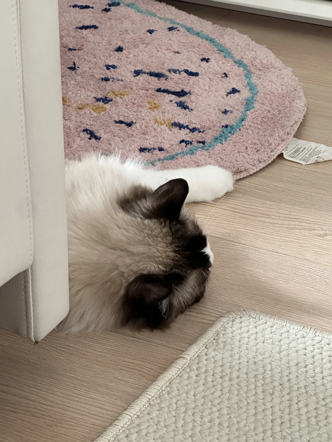 十二平小卧室，干净整洁就好啦✨✨