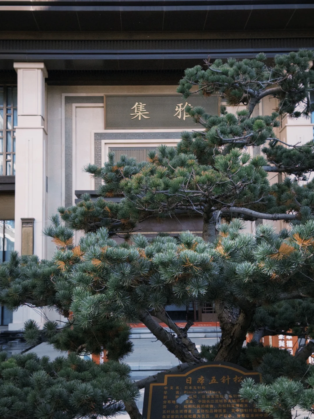 魏县有没有好一点的装修风格呀～